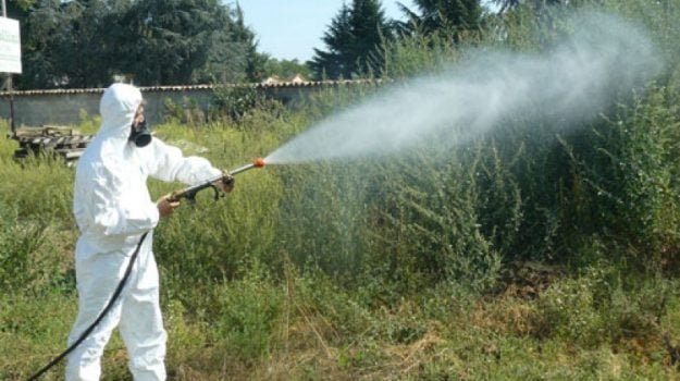 Disinfestazione 625x350