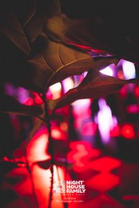 Night House Family Amuri 31