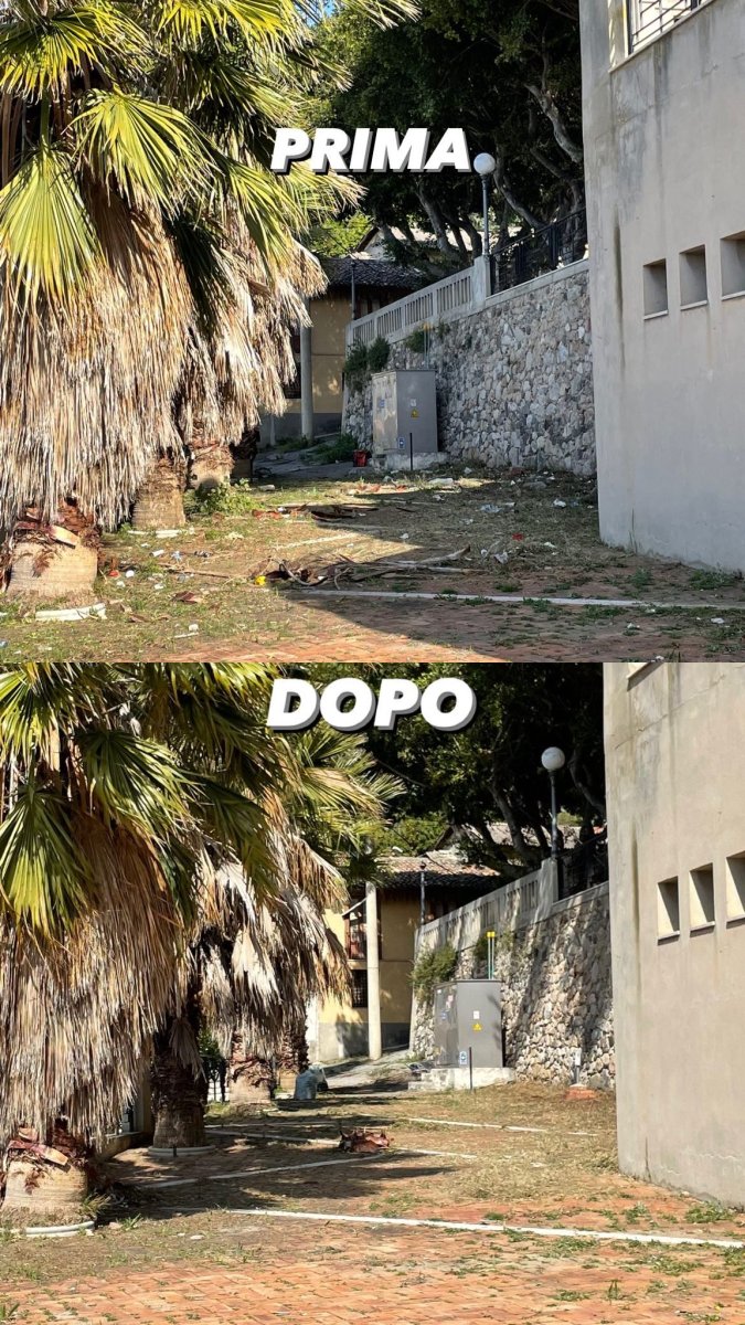 Plastic Free Pulizia Reggio Calabria (5)