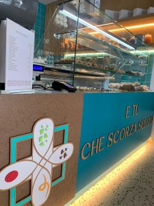 Scorza Cannoli Roma 3