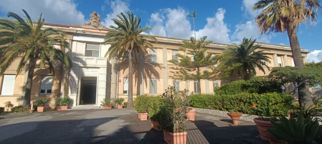 Seminario 2