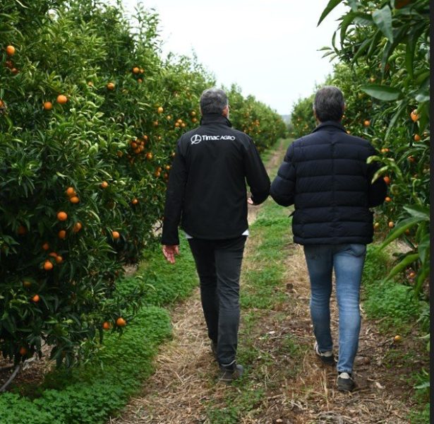 Timac Agro Italia 1