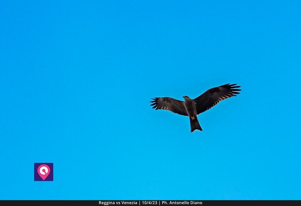 Reggina Venezia (87)