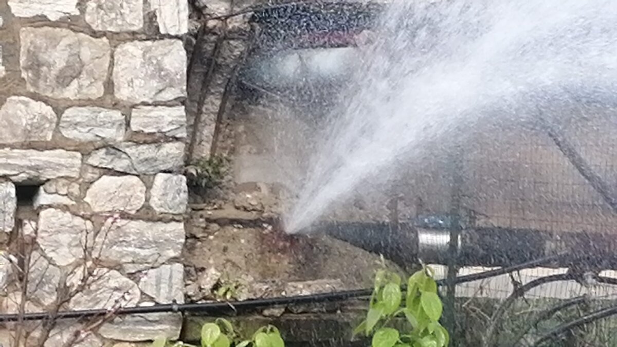 WhatsApp Image 2023 04 05 At 10 21 26