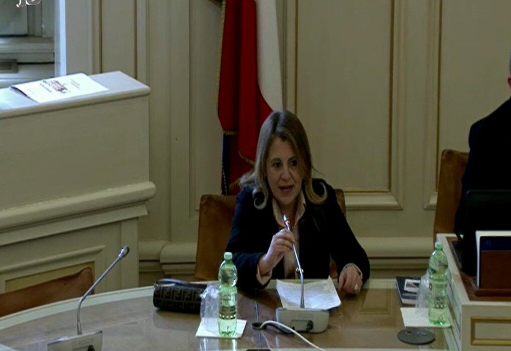 Domenica Catalfamo Audizione Commissione Ponte