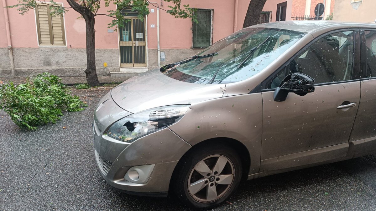 Alberi Caduti Via Galileo Galilei1