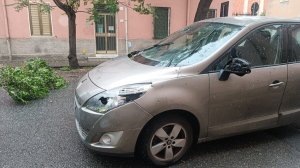 Alberi Caduti Via Galileo Galilei1