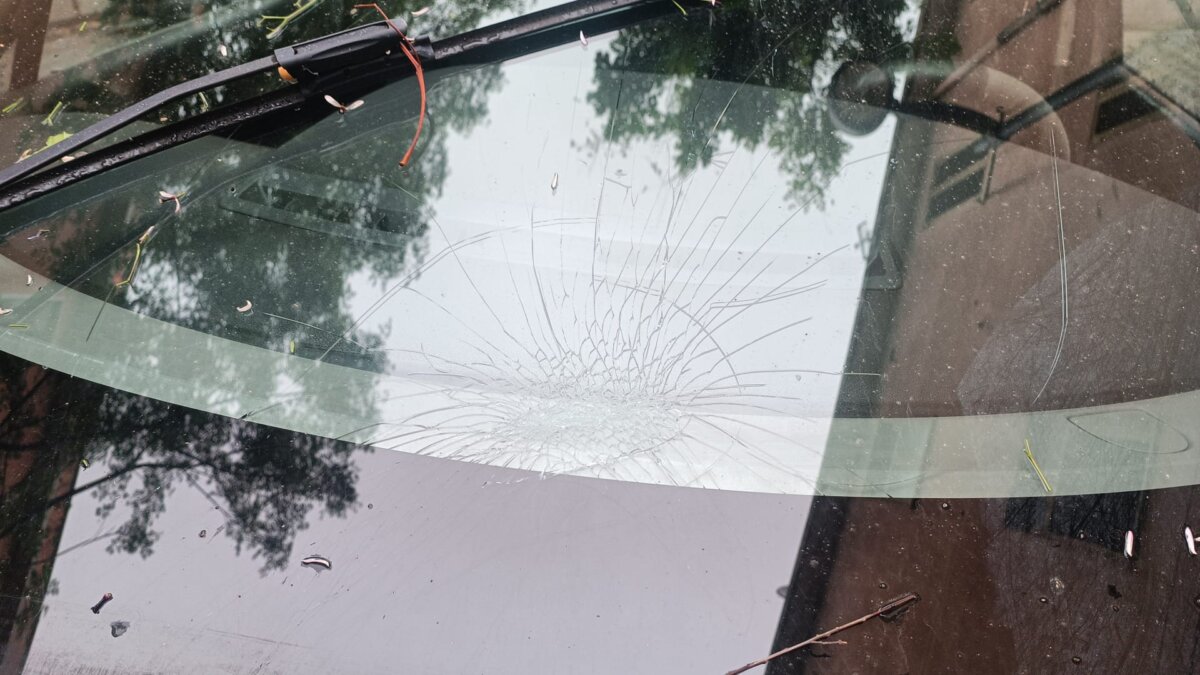 Alberi Caduti Via Galileo Galilei2