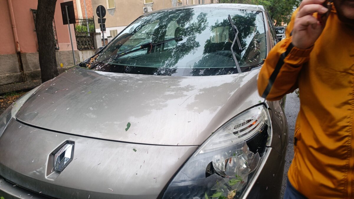 Alberi Caduti Via Galileo Galilei3