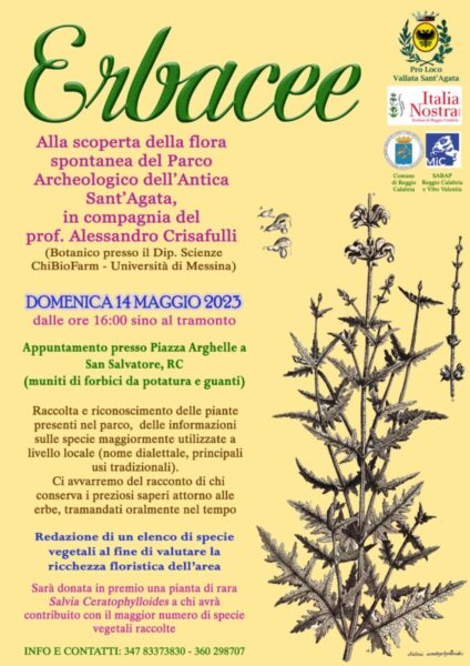 Locandina Evento Erbacee