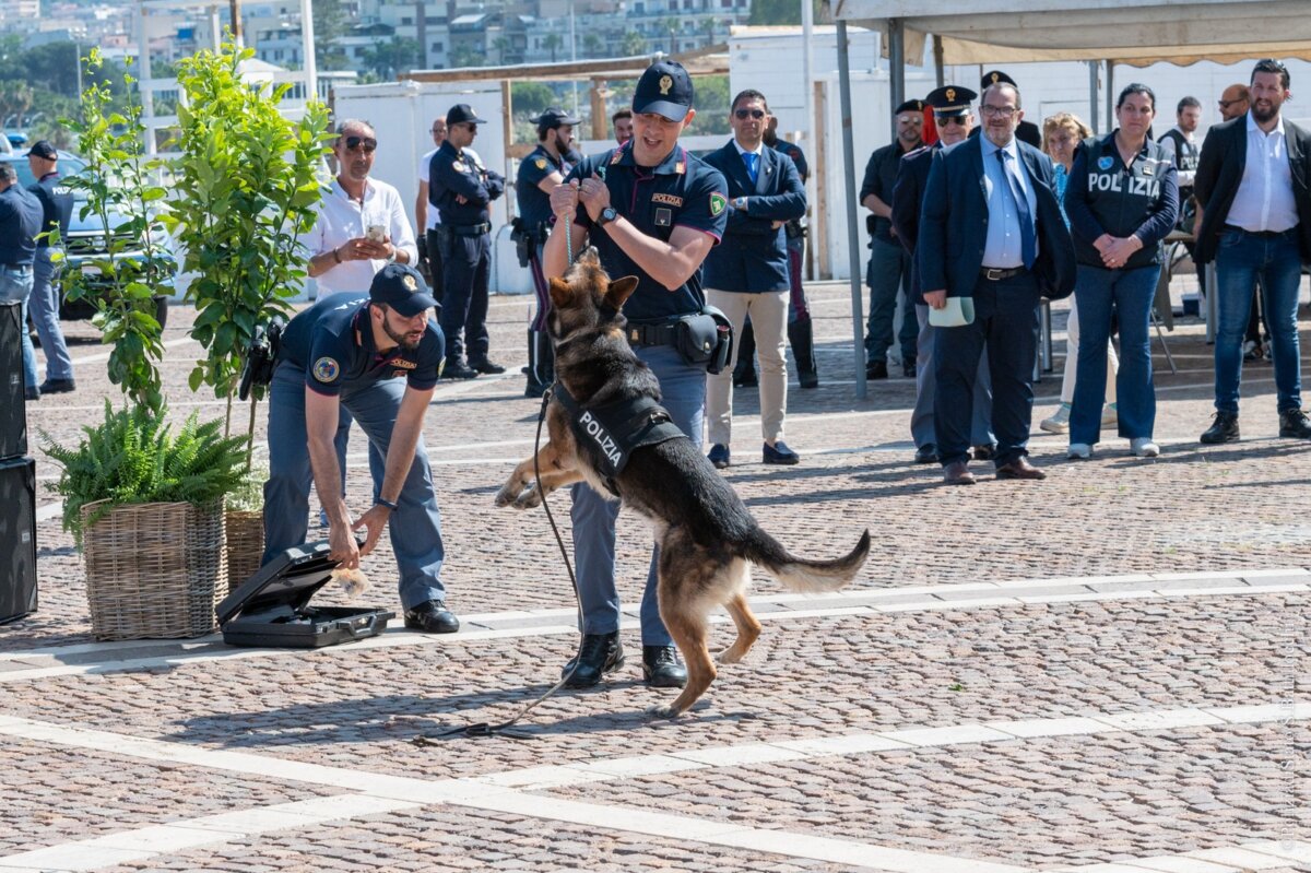 Il Mio Diario Agenda Cane Polizia
