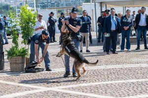 Il Mio Diario Agenda Cane Polizia