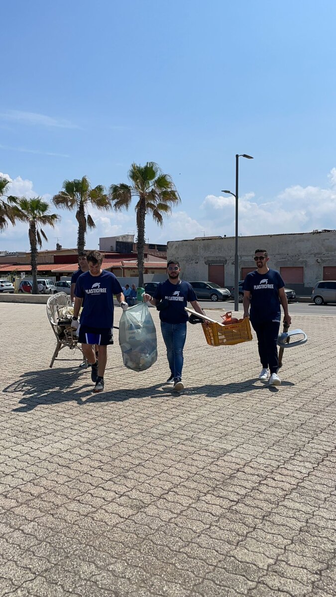 RACCOLTA SAN FERDINANDO (3)