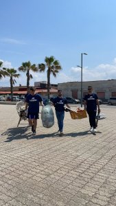 RACCOLTA SAN FERDINANDO (3)