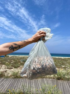 RACCOLTA SAN FERDINANDO (4)