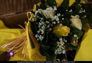 Congresso Rotaract 2102 Rrd Marco Parisi 5