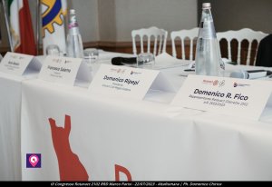 Congresso Rotaract 2102 Rrd Marco Parisi 6