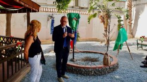 Albero Borsellino 1