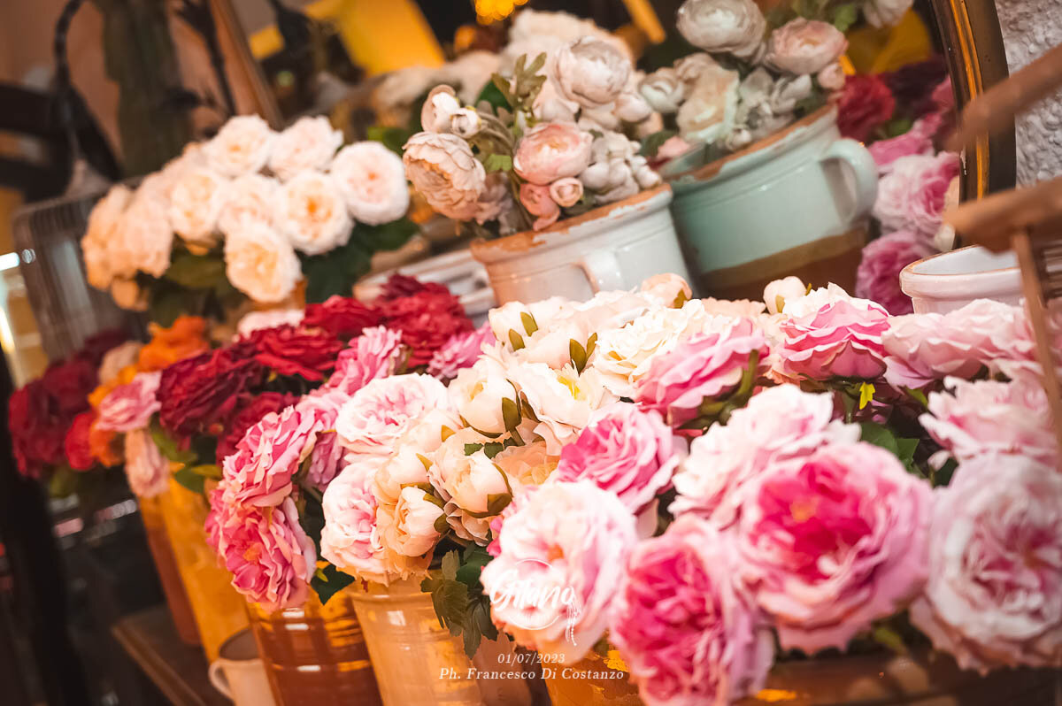 Nomad Gitano Kalura 84