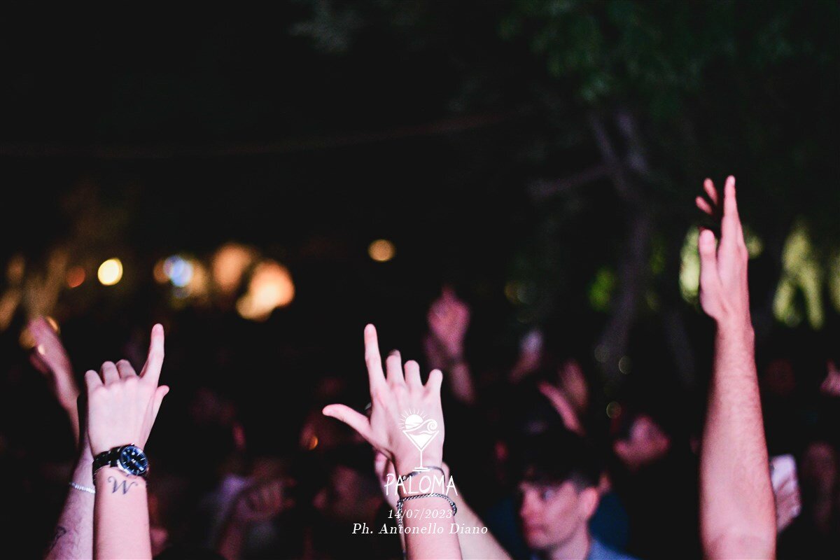 Paloma Back Home 109