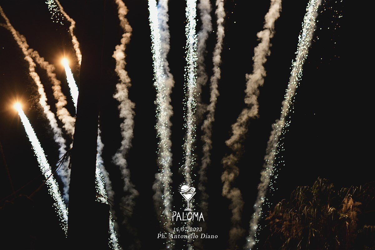 Paloma Back Home 111