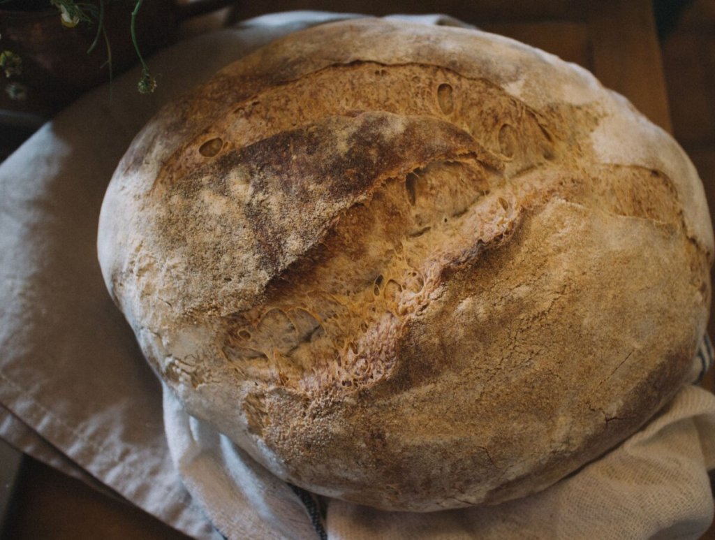 Pane