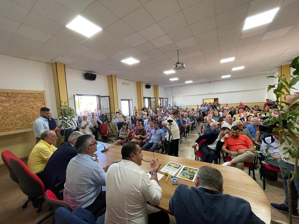 Cannizzaro Bergamotto Cdx