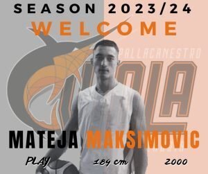 Maksimovic Viola
