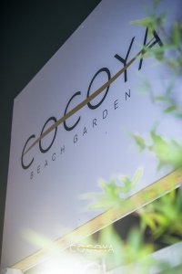Cocoya Party 36