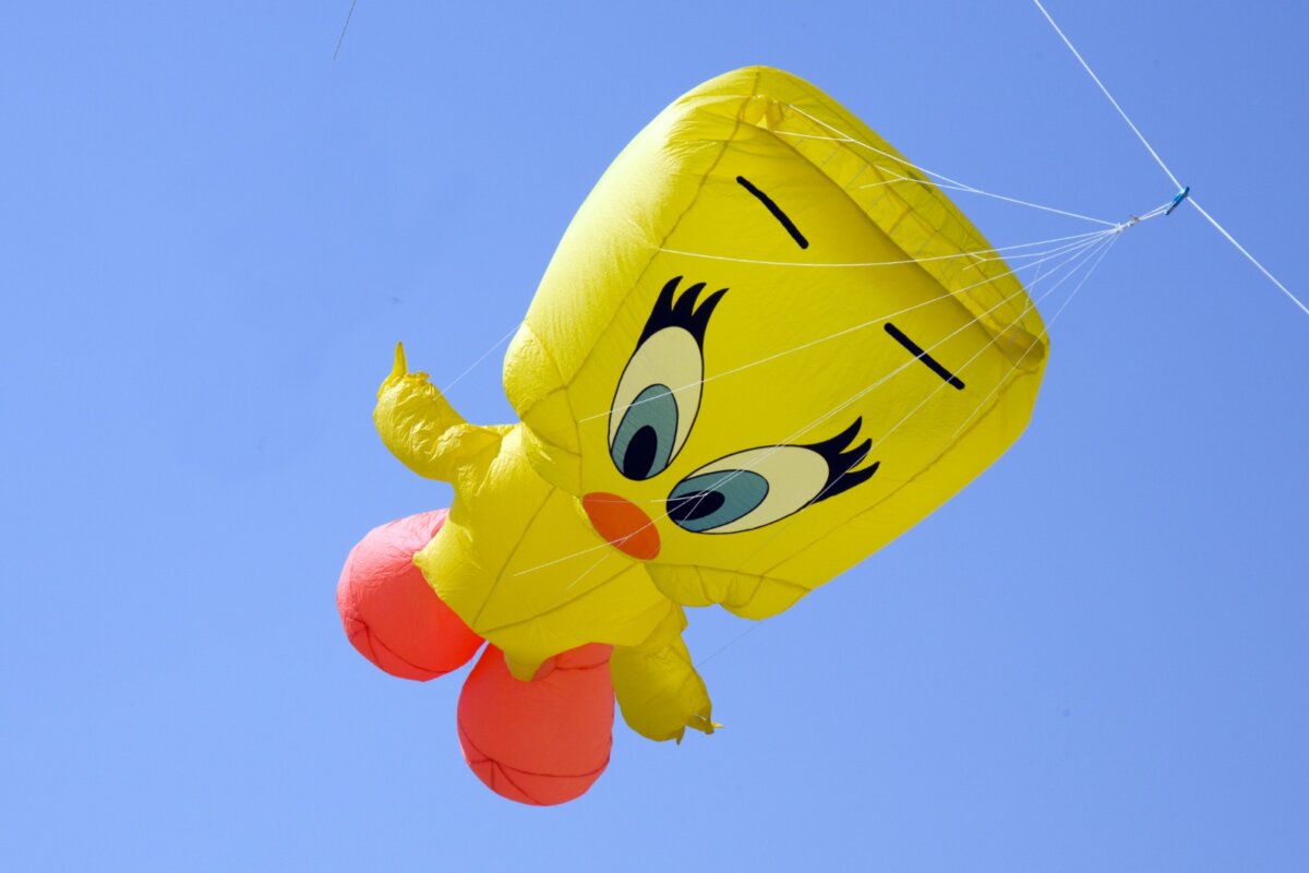 Festival Aquilone (4)