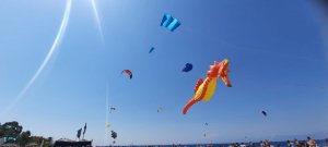 Festival Aquilone (6)