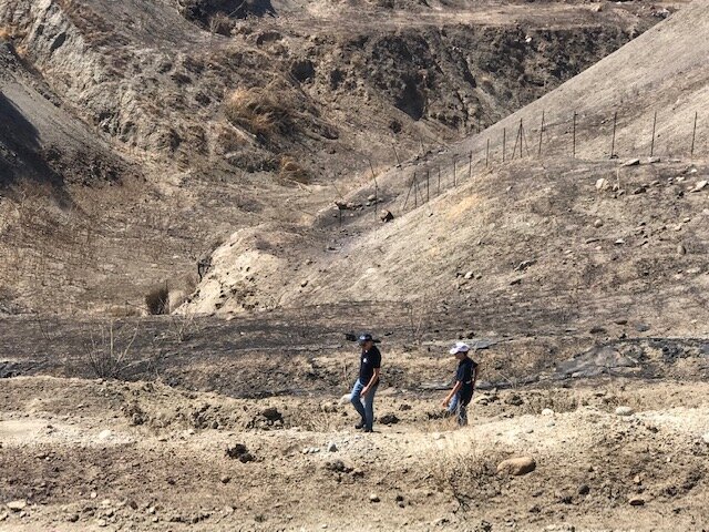 Lazzaro 3