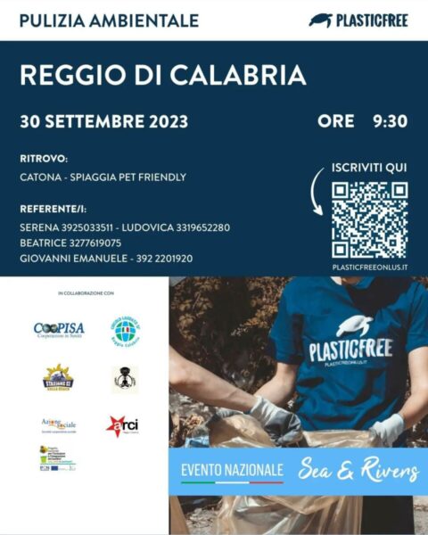 Locandina All'articolo Free Rc