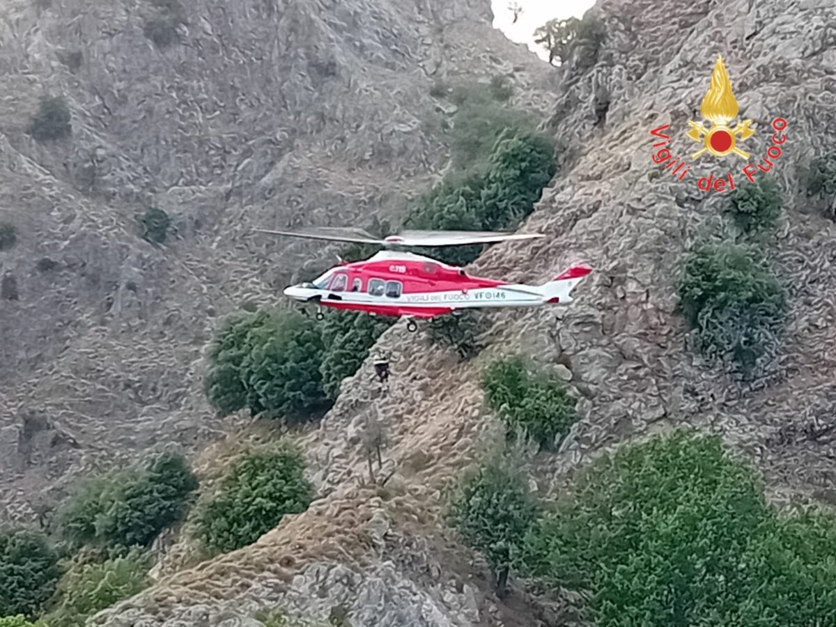 Vigili Del Fuoco 1