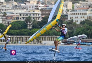 Wing Foil FreeRide (110)