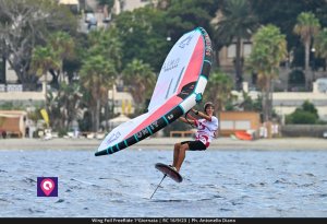 Wing Foil FreeRide (133)