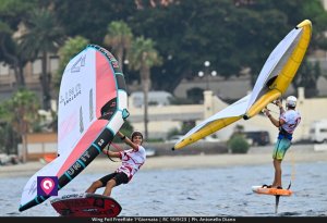 Wing Foil FreeRide (134)