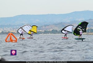 Wing Foil FreeRide (147)