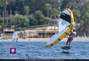 Wing Foil FreeRide (53)