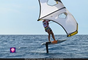 Wing Foil FreeRide (56)