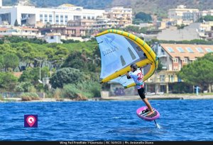 Wing Foil FreeRide (6)