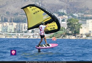 Wing Foil FreeRide (75)