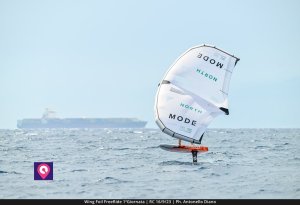 Wing Foil FreeRide (80)