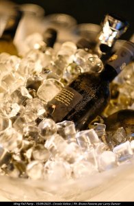 Dance Wind Velico 154