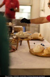 Dance Wind Velico 16