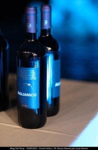 Dance Wind Velico 310