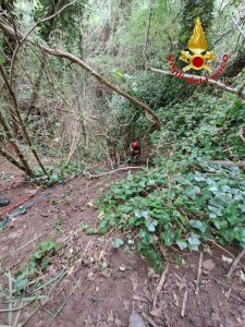 180f07db 9e7f 43a8 91d9 7a422c12a898wtmk (1)