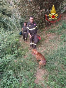 314e80c3 B4c2 4c4a 8706 B0530bd9edd5wtmk