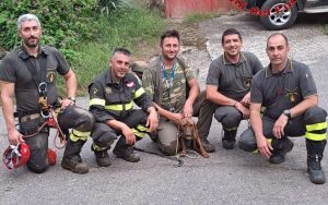 3fb2c089 0806 4138 B521 Ec20f2e3a94fwtmk