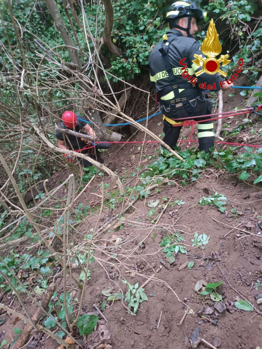 6d44eaf4 E7ca 4e7c 9d18 29776917c2aewtmk